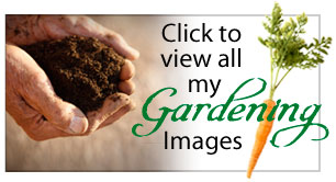 gardenview
